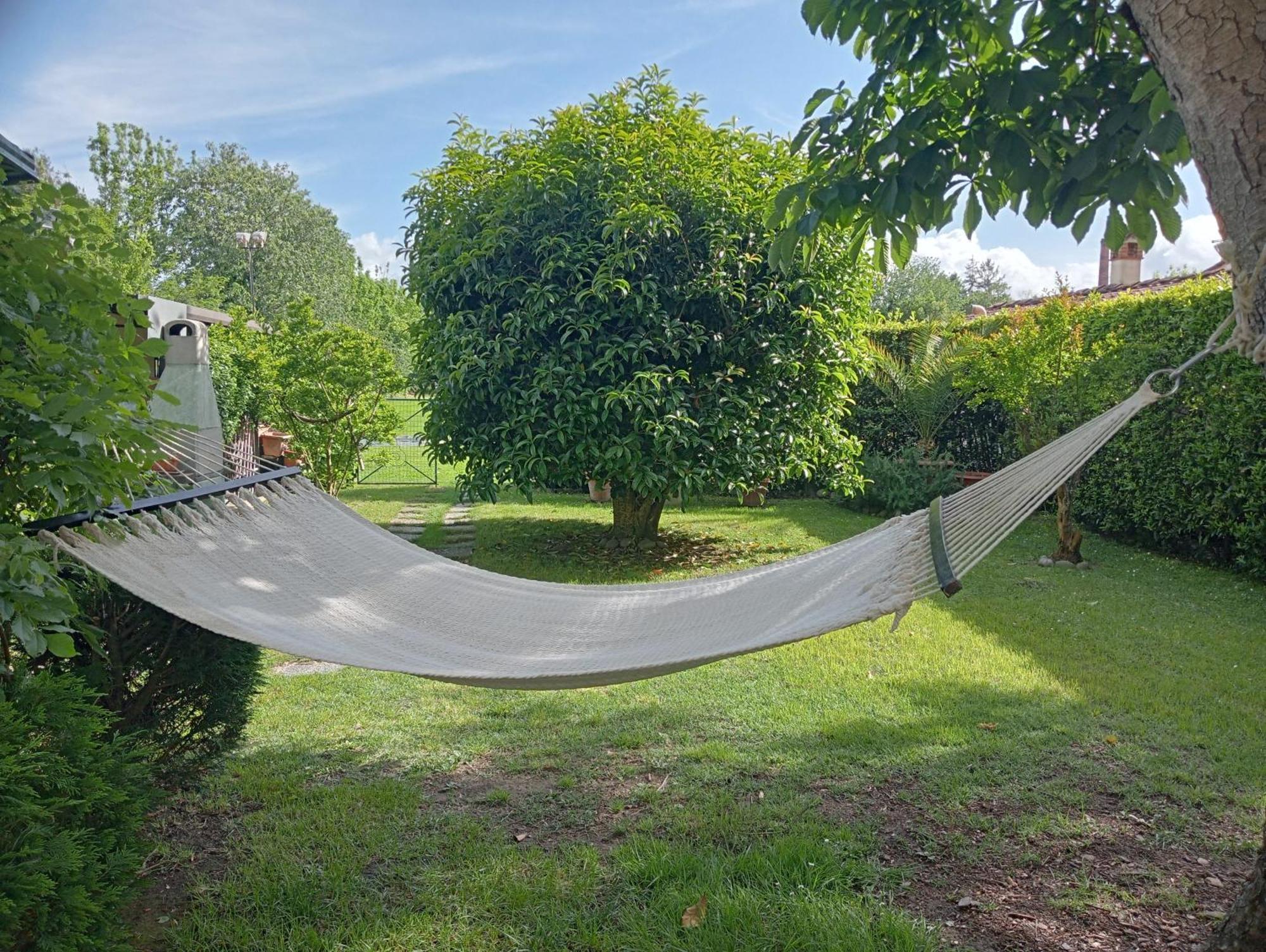 Villa Ippocastano Lucca Kültér fotó